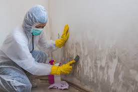 Best Real Estate Mold Inspection  in Ashton, ID